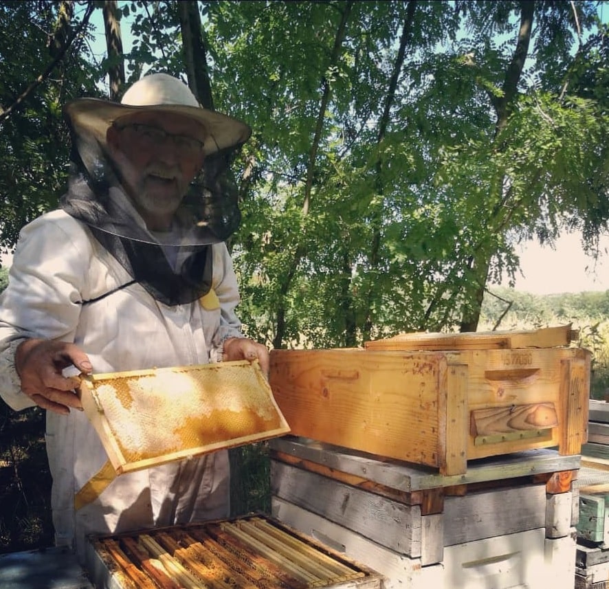 Honig Sparpaket von Summ SUMM Honighandel