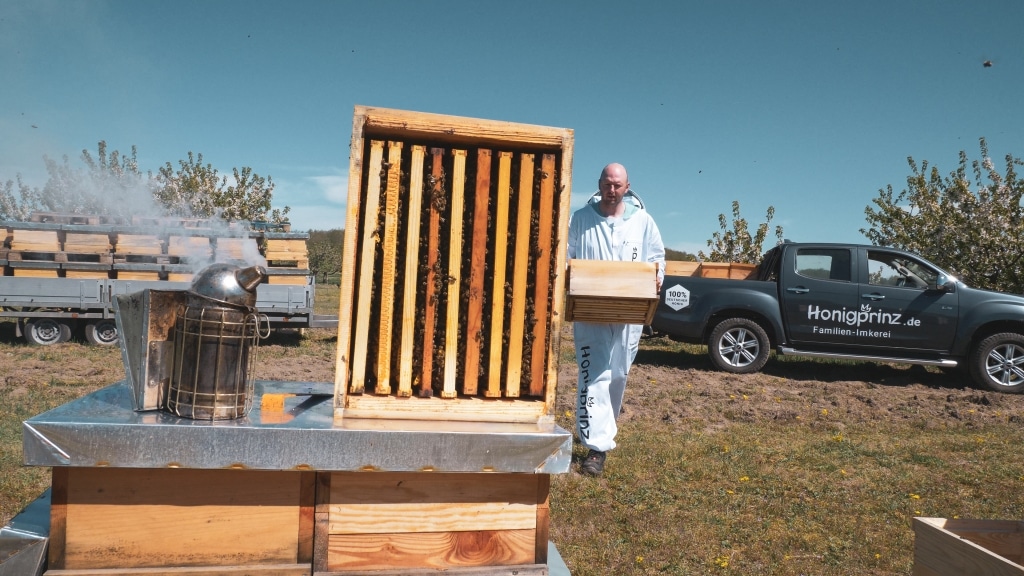 Bienen brauchen ein ruhiges Händchen, da sie sonst erschrecken