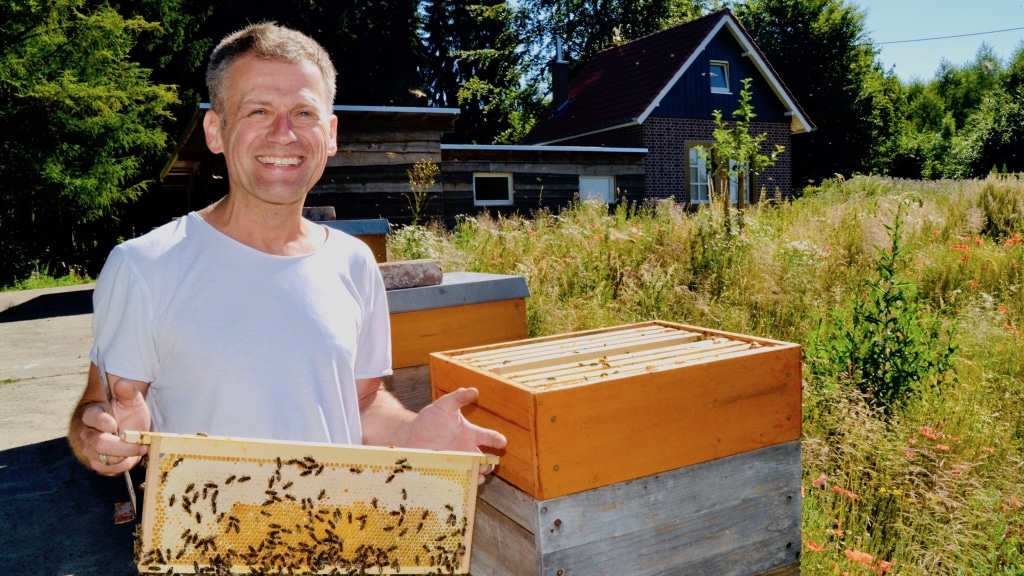 Bienenprofi mit Respekt – Honig aus Niedersachsen