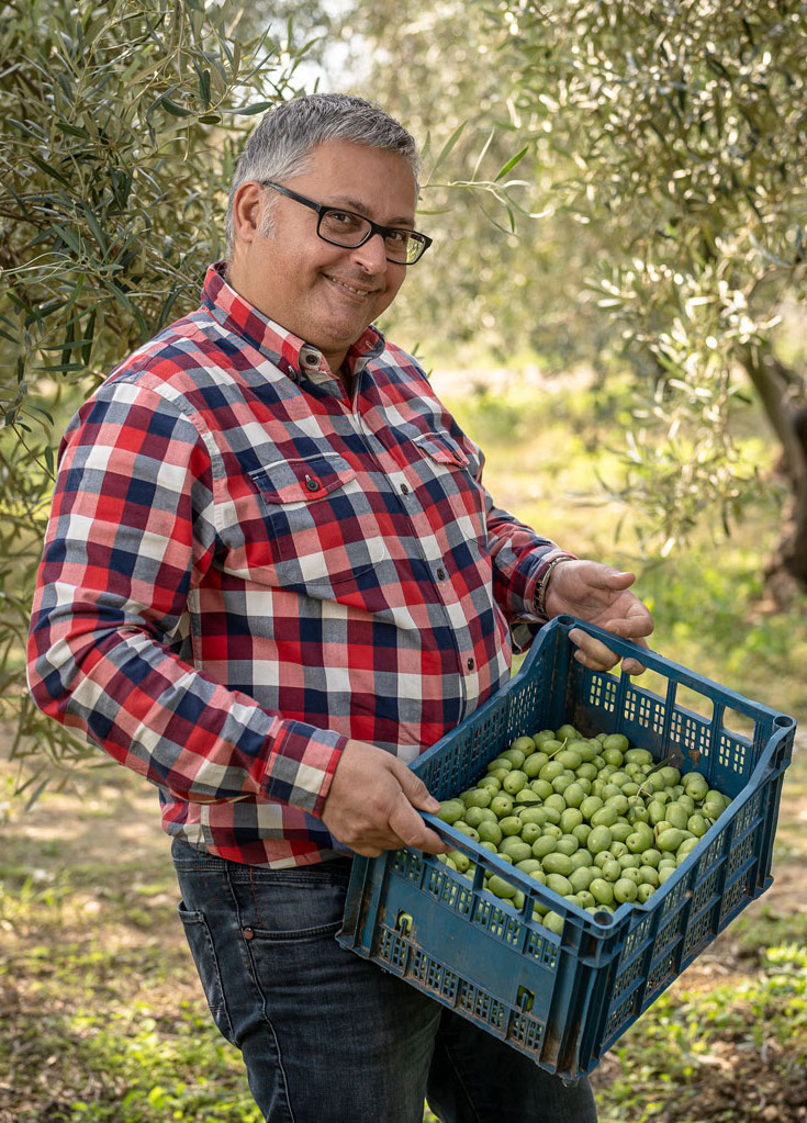 Ehemann von Julia Lakirdakis-Stafanou von Pangaea Olivenöl mit Korb voller grüner Oliven im Hain