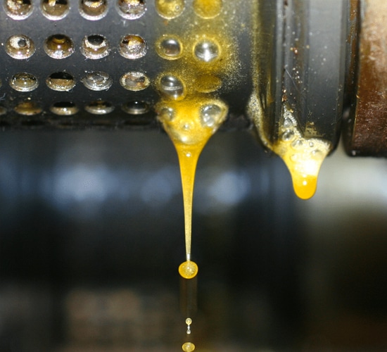 Die Wasgau Ölmühle stellt Speiseöle in Slow Food Tradition her