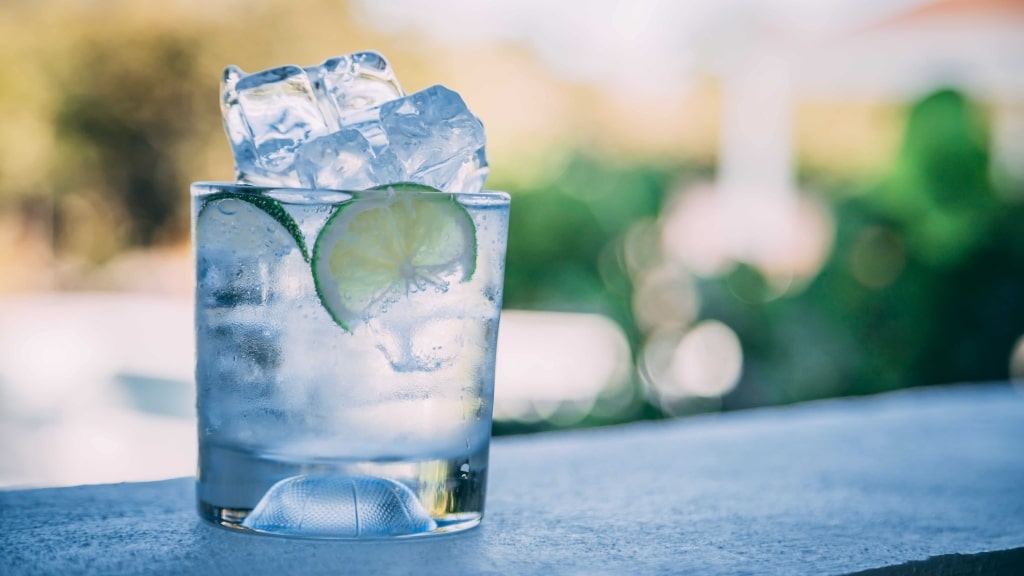 Guter Gin lässt sich pur, mit Tonic Water oder Cocktail trinken - Bei uns kannst du hochwertigen Gin kaufen