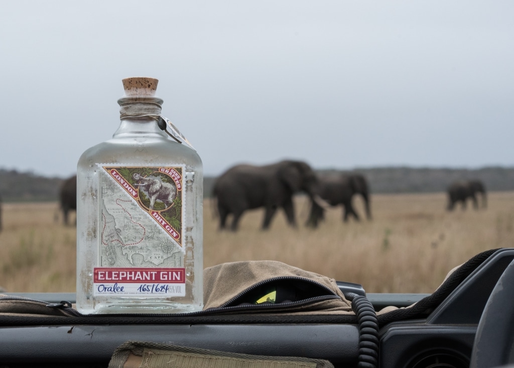 Elephant Gin Flasche im Auto vor Elefantenherde im afrikanischen Feld