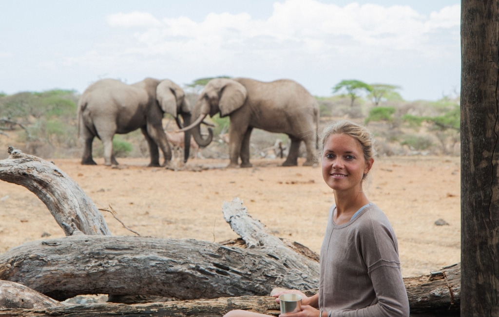 African Wildlife erleben und schützen – Elephant Gin