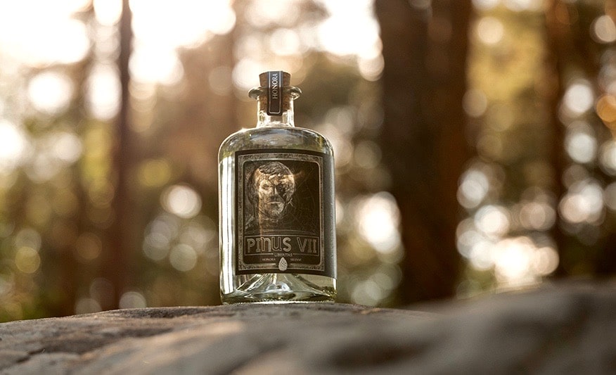 Eine Flasche Pinus VII Dry Gin steht auf einem Stein vor verschwommenem Wald