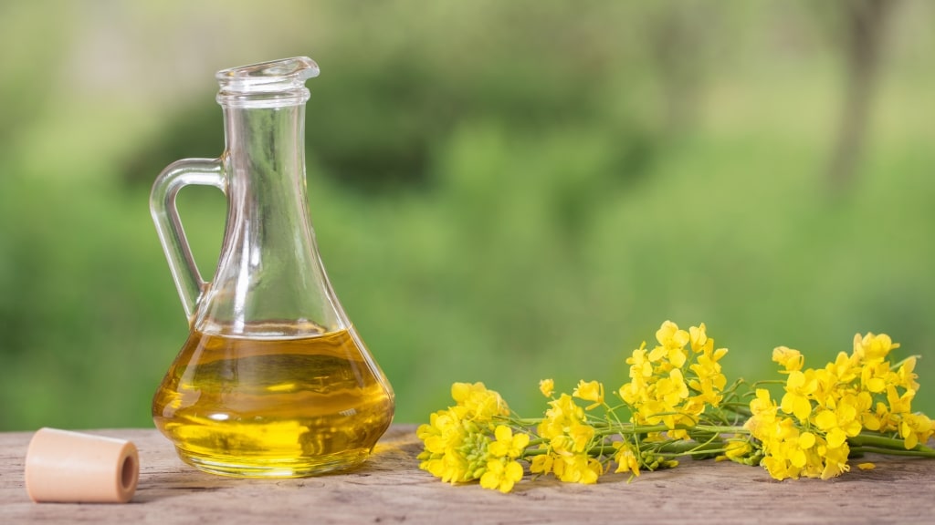 Gesunde Öle: Rapsöl wirkt antioxidativ auf den Körper