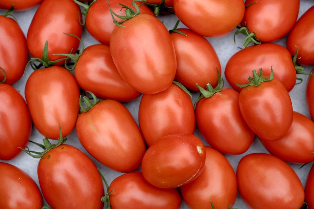Roma-Tomaten eignen sich mit ihrem festen Fruchtfleisch bestens für Tomatensalat