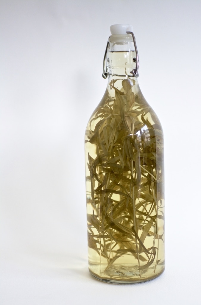 Glasflasche mit Estragonzweigen in Weißweinessig: Estragon Essig würzt Salate, Gemüse, Fleisch und Fisch